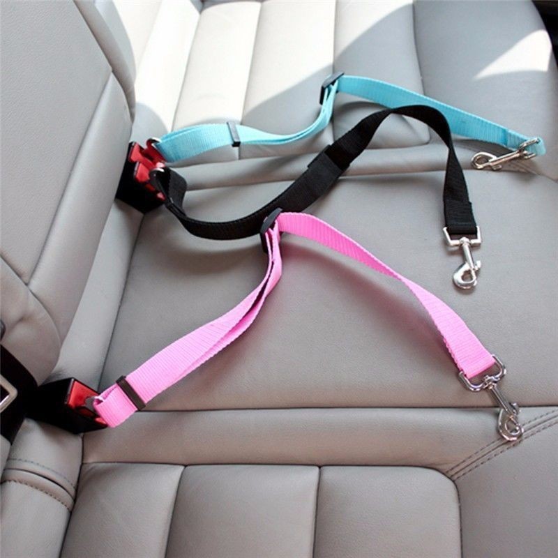 Swing Seat Belt - Harnais de sécurité pour chat et