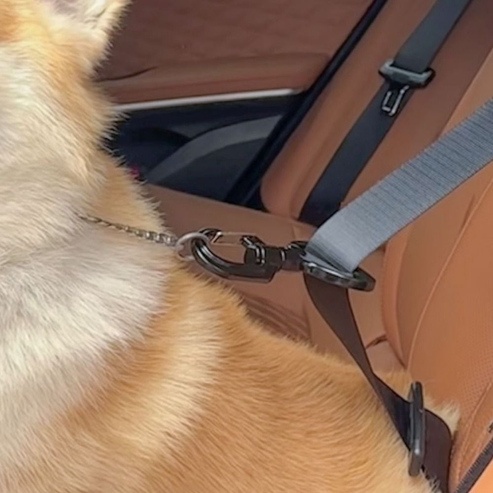 Boucle de sécurité Anti-interf - Swing Seat Belt avis et prix