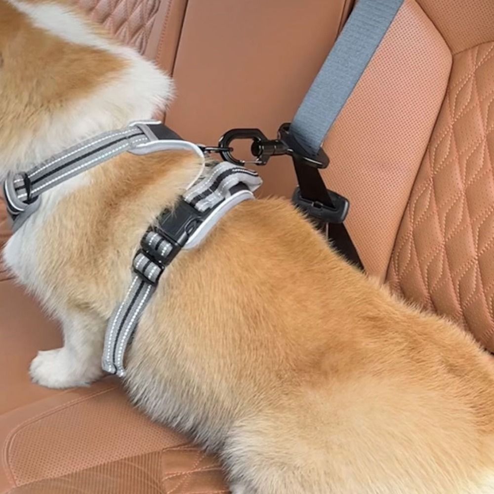 Boucle de sécurité Anti-interf - Swing Seat Belt avis et prix