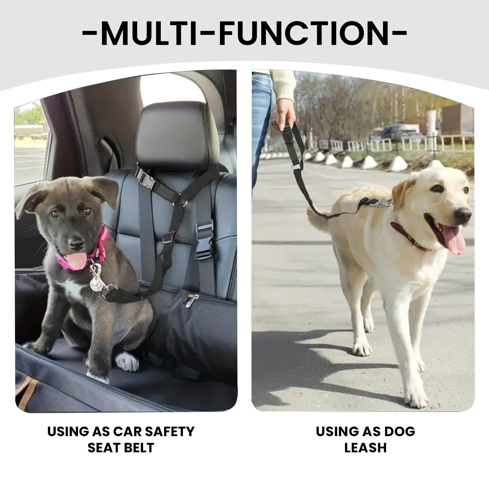 Ceinture de sécurité pour anim - Swing Seat Belt avis et prix